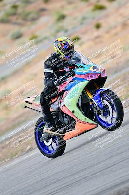 media/Apr-26-2025-2WTD (Sat) [[797c348bd3]]/C Group/240pm/